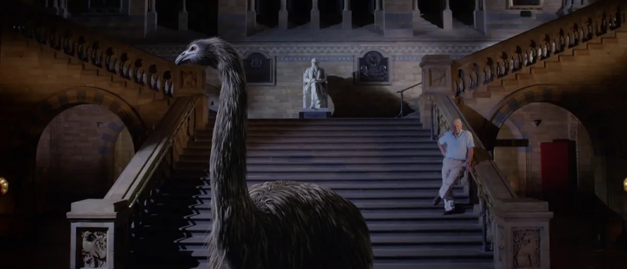 Film backdrop for Museum Alive 3D