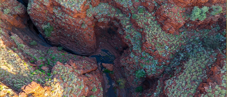 Film backdrop for Australia 3D