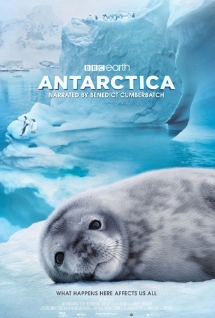 Theatrical poster for Antarctica 3D