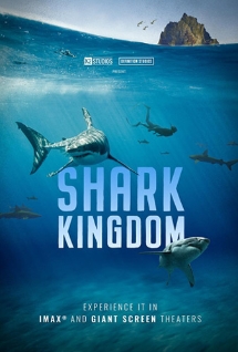 Theatrical poster for Shark Kingdom 3D