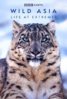 Theatrical poster for Wild Asia 3D