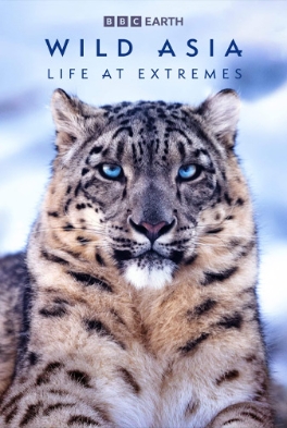 Theatrical poster for Wild Asia 3D